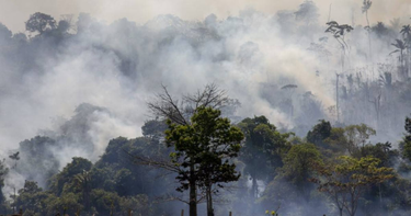 OpenGraph image for publinews.gt/gt/metroamp/noticias/2019/08/28/consecuencias-politicas-incendios-amazonia.html