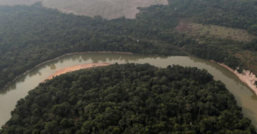 OpenGraph image for reuters.com/business/environment/indigenous-leaders-push-new-target-protect-amazon-deforestation-2021-09-05/