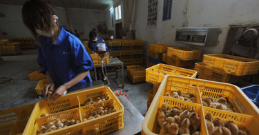 OpenGraph image for reuters.com/business/healthcare-pharmaceuticals/china-reports-human-case-h10n3-bird-flu-2021-06-01/