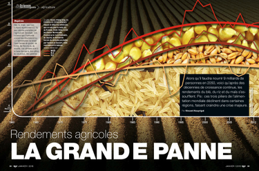 OpenGraph image for science-et-vie.com/archives/rendements-agricoles-la-grande-panne-38083