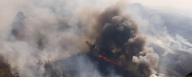 OpenGraph image for sciencealert.com/it-s-not-just-brazil-s-amazon-bolivia-s-vital-forests-are-on-fire-too/amp