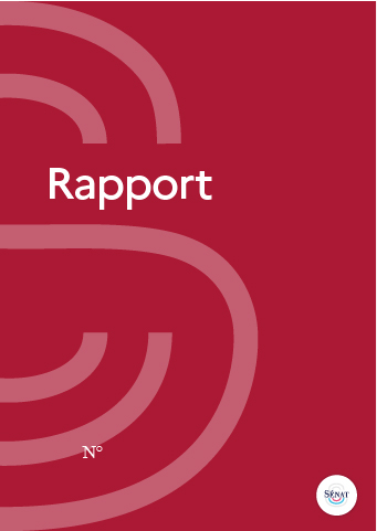 OpenGraph image for senat.fr/rap/r06-357-1/r06-357-1.html