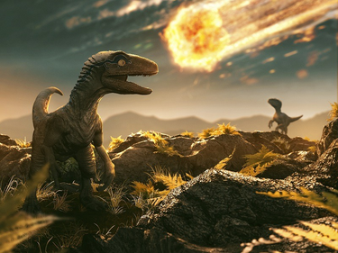 OpenGraph image for siliconrepublic.com/innovation/dinosaurs-decline-prior-to-asteroid-hit