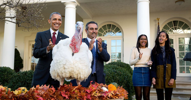 OpenGraph image for snopes.com/trump-turkey-pardons-reversed/