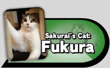 OpenGraph image for sourcegaming.info/2015/04/30/sakurais-cat-fukura/