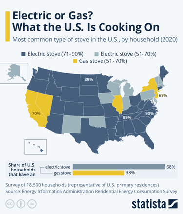 OpenGraph image for statista.com/chart/amp/29082/most-common-type-of-stove-in-the-us/