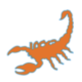 OpenGraph image for sulisscorpions.co.uk/