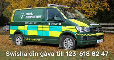 OpenGraph image for svenskadjurambulansen.se