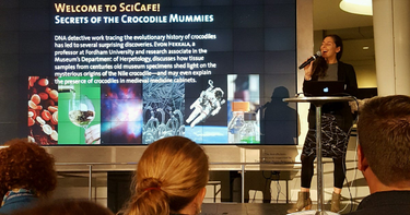 OpenGraph image for swarmapp.com/c/fzwFokfGrUA