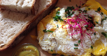 OpenGraph image for swarmapp.com/c/k1AaAQgpjQ4