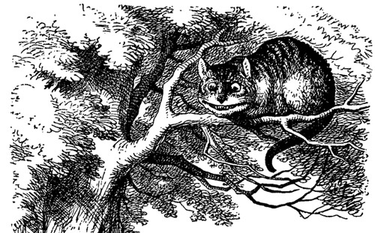 OpenGraph image for talater.com/open-source-templates/