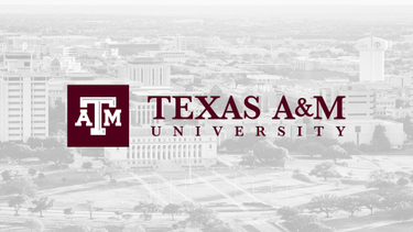 OpenGraph image for tamu.edu/faculty/gaines/