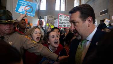 OpenGraph image for tennessean.com/story/news/politics/2023/03/30/after-nashville-school-shooting-hundreds-demand-gun-reform-in-nashville/70063649007/