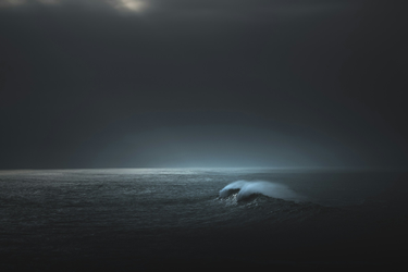 OpenGraph image for thanh-nguyen.photo/photo/les-dunes-sauvages/