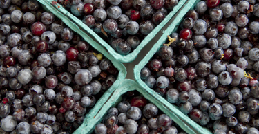 OpenGraph image for theatlantic.com/health/archive/2018/10/superfoods-marketing-ploy/573583/?single_page=true