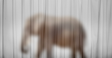 OpenGraph image for theatlantic.com/ideas/archive/2020/08/new-gop-platform-authoritarianism/615640/