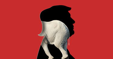 OpenGraph image for theatlantic.com/politics/archive/2020/06/republicans-2024-nominee-will-be-trump-acolyte/612925/?utm_source=twitter&utm_medium=social&utm_campaign=share