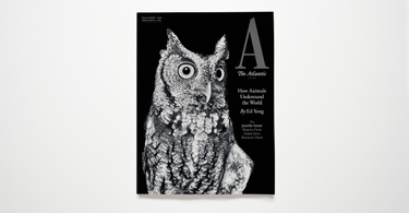 OpenGraph image for theatlantic.com/press-releases/archive/2022/06/july-august-cover-story-our-blinding-blaring-world/661258/