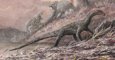 OpenGraph image for theatlantic.com/science/archive/2017/04/teleocrater-dinosaurs-aphanosaurs-crocodiles/522489/?single_page=true&utm_content=bufferfaee1&utm_medium=social&utm_source=twitter.com&utm_campaign=buffer