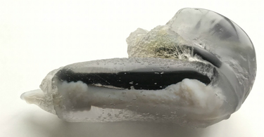 OpenGraph image for theatlantic.com/science/archive/2017/05/that-time-the-tsa-found-a-scientists-3d-printed-mouse-penis/527673/