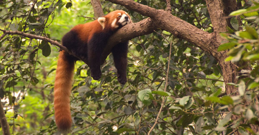 OpenGraph image for thecut.com/2017/10/ask-polly-i-work-too-hard-and-im-miserable.html