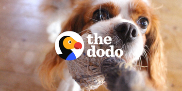 OpenGraph image for thedodo.com/community/LisaMilella/my-bucket-list-save-some-of-th-622748023.html?xrs=RebelMouse_tw