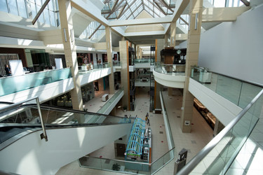 OpenGraph image for theglobeandmail.com/canada/article-health-experts-press-ottawa-for-a-more-balanced-approach-to-tackling/