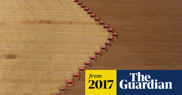 OpenGraph image for theguardian.com/environment/2017/oct/05/vast-animal-feed-crops-meat-needs-destroying-planet?CMP=Share_iOSApp_Other