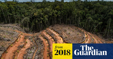 OpenGraph image for theguardian.com/environment/2018/nov/03/stop-biodiversity-loss-or-we-could-face-our-own-extinction-warns-un?CMP=Share_iOSApp_Other