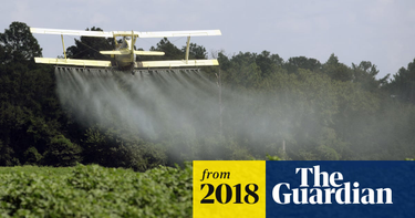 OpenGraph image for theguardian.com/environment/2018/oct/24/entire-pesticide-class-should-be-banned-for-effect-on-childrens-health