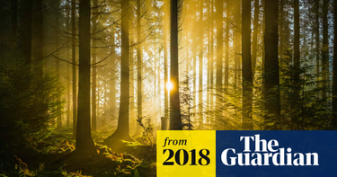 OpenGraph image for theguardian.com/environment/2018/oct/26/facts-about-our-ecological-crisis-are-incontrovertible-we-must-take-action