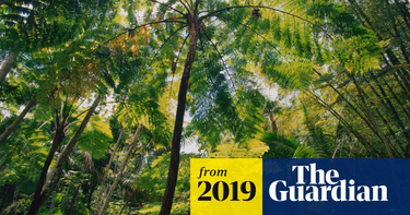 OpenGraph image for theguardian.com/environment/2019/jan/15/insect-collapse-we-are-destroying-our-life-support-systems?CMP=Share_iOSApp_Other