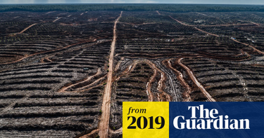 OpenGraph image for theguardian.com/environment/2019/may/06/human-society-under-urgent-threat-loss-earth-natural-life-un-report