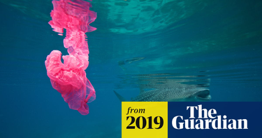 OpenGraph image for theguardian.com/environment/2019/may/15/single-use-plastics-a-serious-climate-change-hazard-study-warns