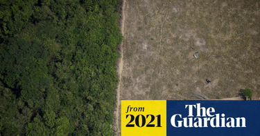 OpenGraph image for theguardian.com/environment/2021/apr/30/brazilian-amazon-released-more-carbon-than-it-absorbed-over-past-10-years?CMP=Share_iOSApp_Other