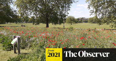 OpenGraph image for theguardian.com/environment/2021/jul/10/went-to-mow-but-stopped-how-uk-cities-embraced-meadows-revolution-aoe