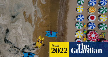 OpenGraph image for theguardian.com/environment/2022/feb/01/extreme-heat-oceans-passed-point-of-no-return-high-temperatures-wildlife-seas?CMP=Share_iOSApp_Other