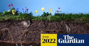 OpenGraph image for theguardian.com/environment/2022/may/07/secret-world-beneath-our-feet-mind-blowing-key-to-planets-future?CMP=Share_iOSApp_Other