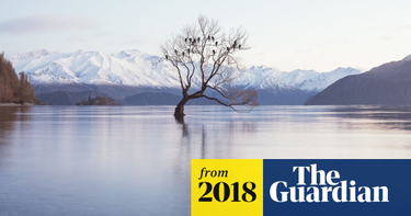 OpenGraph image for theguardian.com/news/2018/feb/15/why-silicon-valley-billionaires-are-prepping-for-the-apocalypse-in-new-zealand