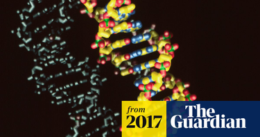 OpenGraph image for theguardian.com/science/2017/jan/23/organisms-created-with-synthetic-dna-pave-way-for-new-entirely-new-life-forms?utm_content=buffer86a12&utm_medium=social&utm_source=twitter.com&utm_campaign=buffer
