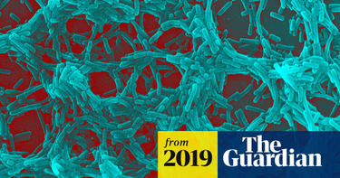OpenGraph image for theguardian.com/science/2019/feb/04/gut-bacteria-mental-health-depression-study