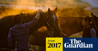 OpenGraph image for theguardian.com/sport/2017/feb/23/trump-immigration-crackdown-horse-racing