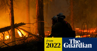 OpenGraph image for theguardian.com/us-news/2022/jul/19/us-heat-warnings-wildfires-weather?CMP=Share_iOSApp_Other