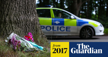 OpenGraph image for theguardian.com/world/2017/jan/12/insurers-call-for-action-after-rise-in-hit-and-run-incidents-on-uk-roads