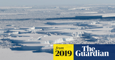 OpenGraph image for theguardian.com/world/2019/jul/01/precipitous-fall-in-antarctic-sea-ice-revealed?CMP=Share_iOSApp_Other