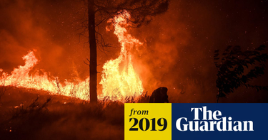 OpenGraph image for theguardian.com/world/2019/jul/21/firefighters-struggle-to-contain-wildfires-sweeping-central-portugal