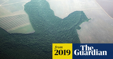 OpenGraph image for theguardian.com/world/2019/jul/25/amazonian-rainforest-near-unrecoverable-tipping-point?CMP=Share_iOSApp_Other