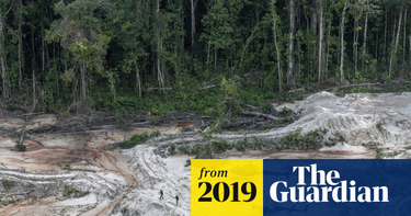 OpenGraph image for theguardian.com/world/2019/jun/04/deforestation-of-brazilian-amazon-surges-to-record-high-bolsonaro?CMP=Share_iOSApp_Other