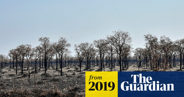OpenGraph image for theguardian.com/world/2019/oct/08/bolivian-amazon-fires-relief-as-rains-douse-two-month-inferno