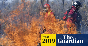 OpenGraph image for theguardian.com/world/2019/sep/02/bolivia-evo-morales-wildfires-chiquitano